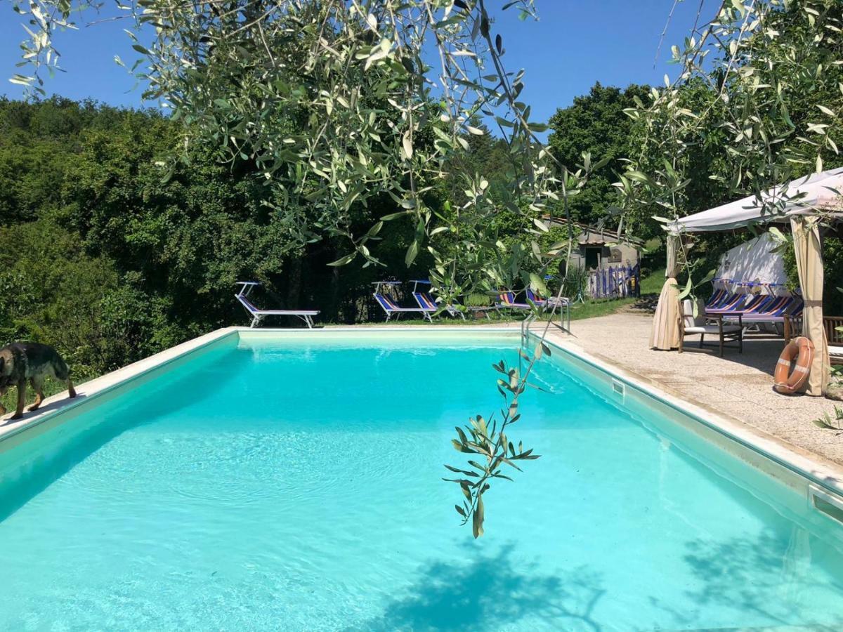 Ala Di Maniero In Agriturismo Valdrago In Toscana, Nel Verde Mugello Sulle Colline Di Firenze Borgo San Lorenzo Εξωτερικό φωτογραφία
